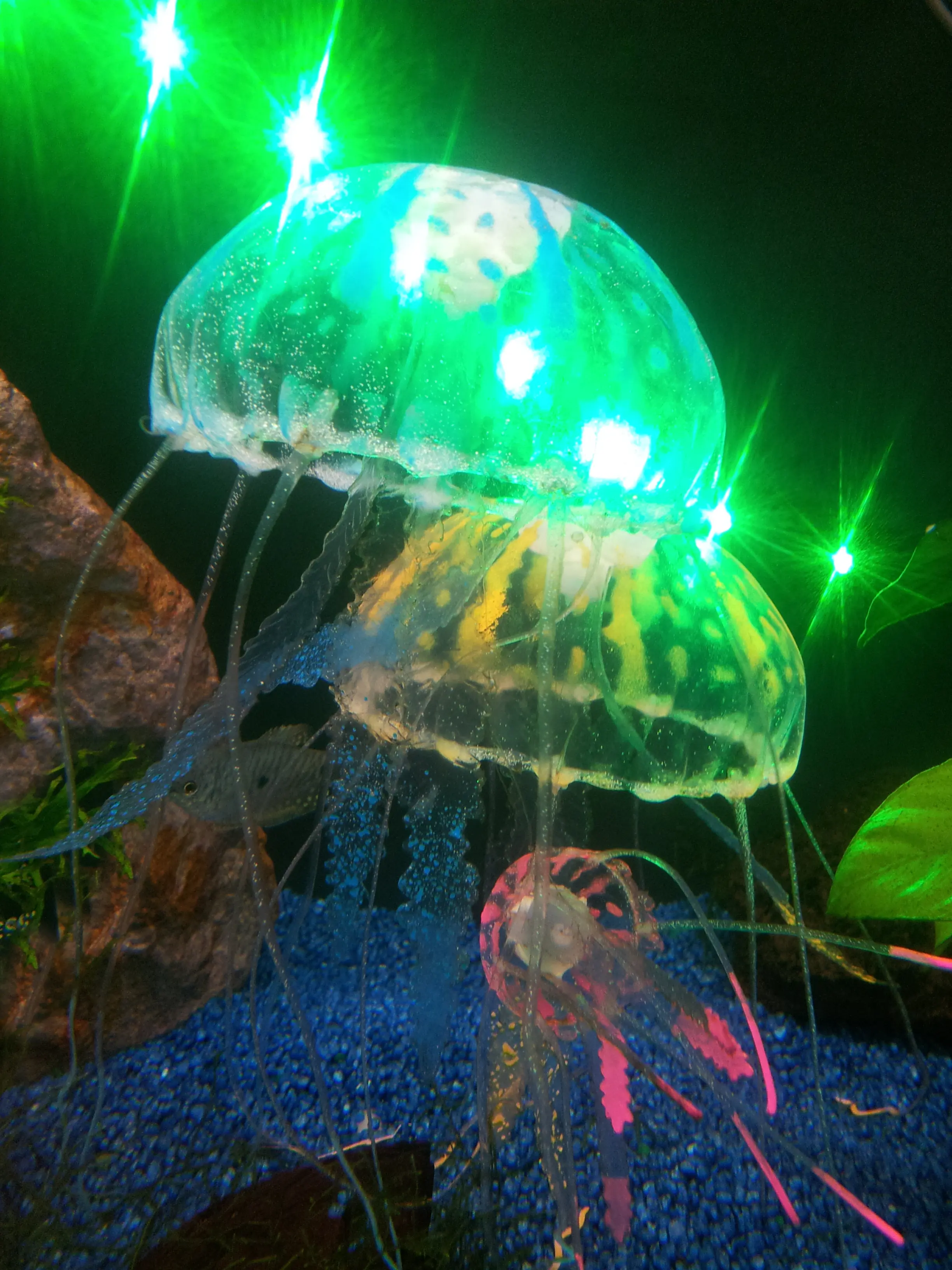 &Fotowelt - tiere\andere